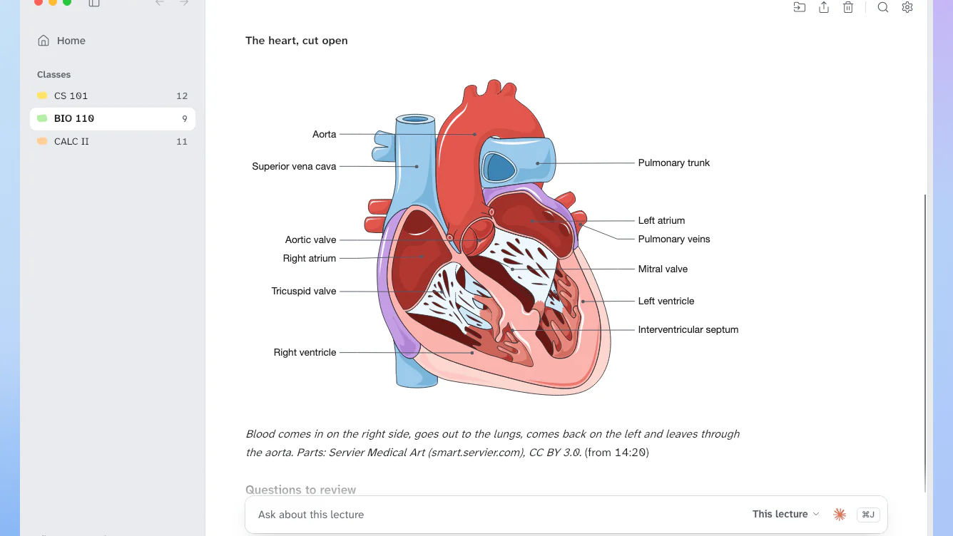 Study Stash showing a biology lecture's notes with a labelled drawing of the heart.