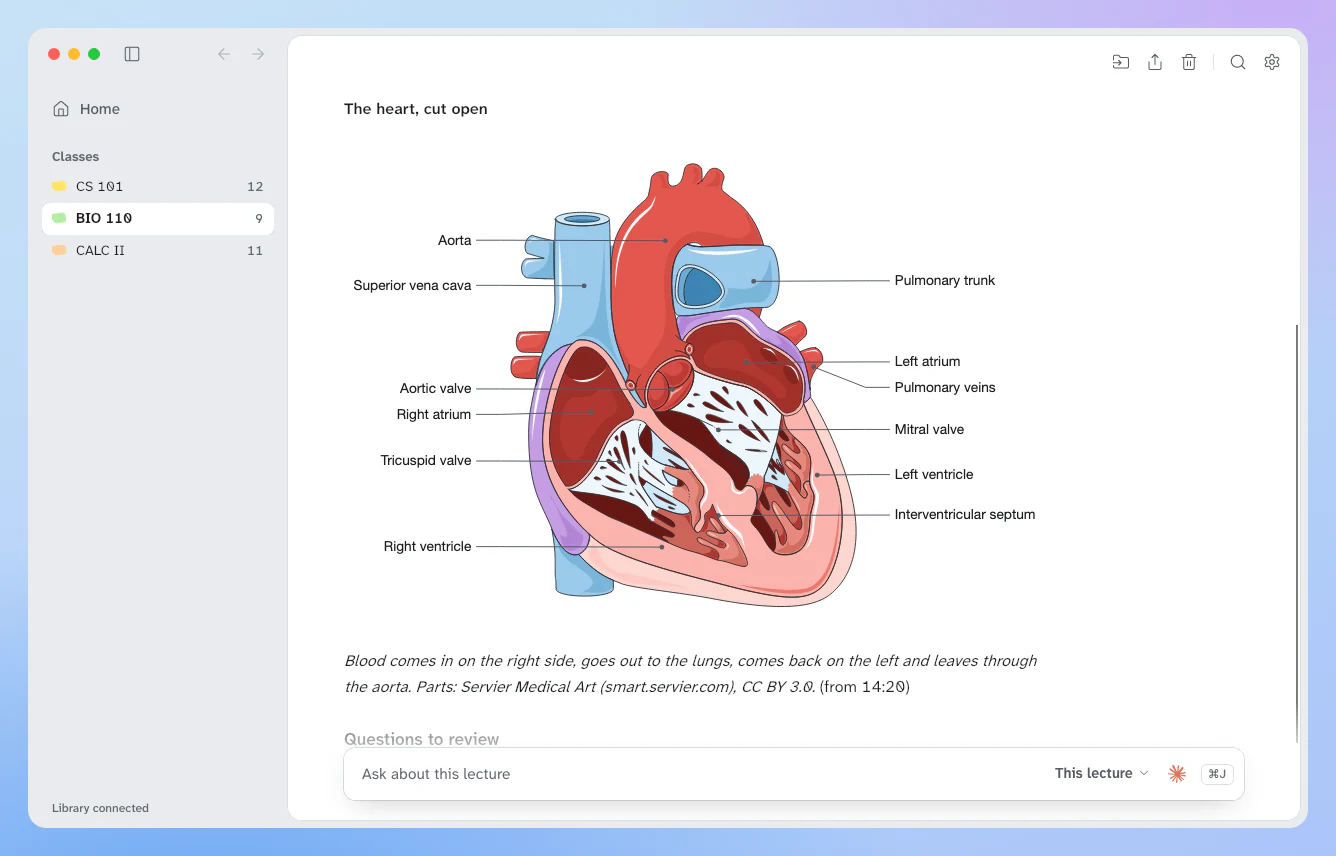 Study Stash showing a biology lecture's notes: a labelled drawing of the heart cut open, with the aorta, both atria and ventricles, the valves and the veins and arteries named.